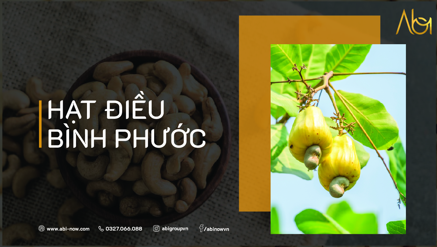 cashew 01